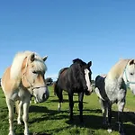 公寓 Immensee App A *