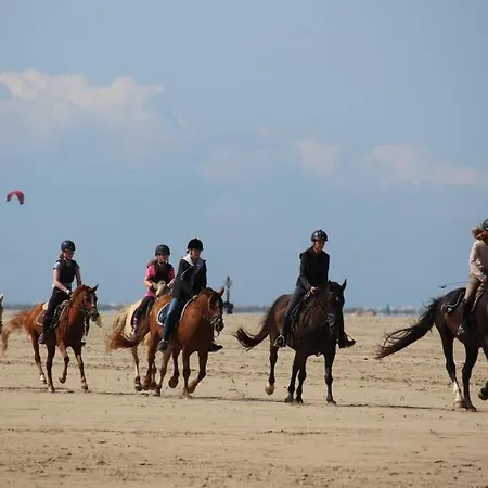 Appartamento Immensee App A *