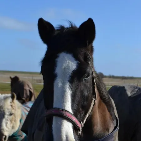 Appartamento Immensee App A Ehst