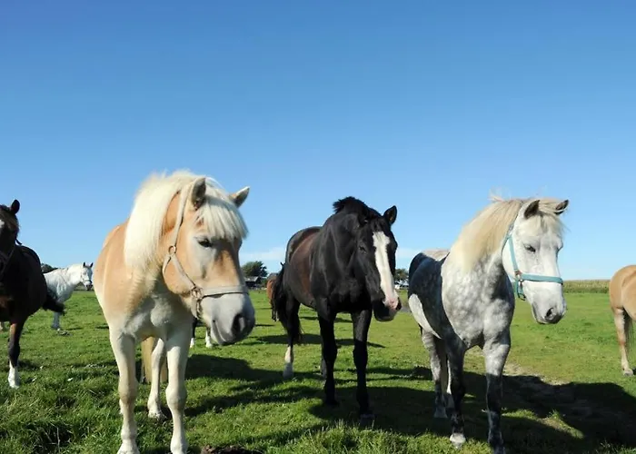 Lejlighed Immensee App A *